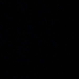 Meet your Posher, Brad